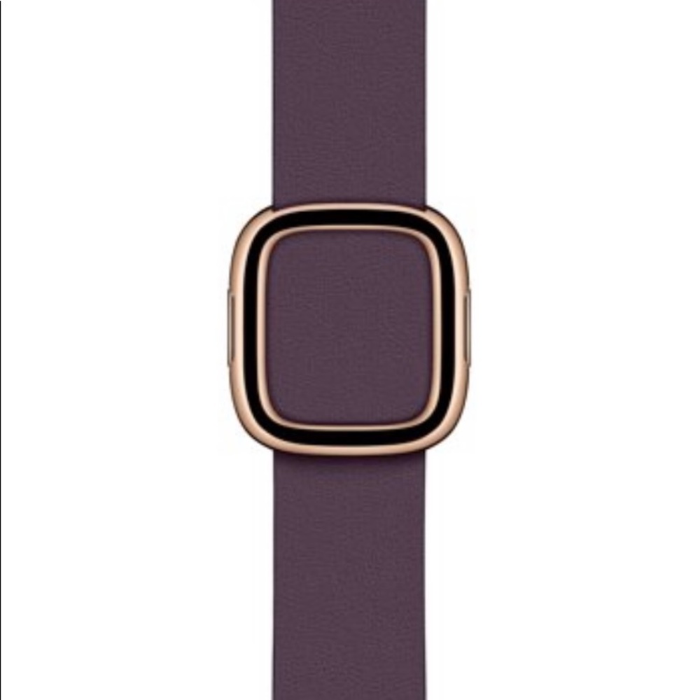 Apple Watch 40mm Aubergine Modern Buckle Band, L